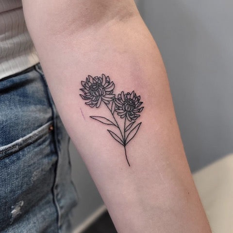 Chrysanthemum Tattoo Outline