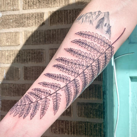 Fern Leaf Tattoo on Arm  Best Tattoo Ideas Gallery