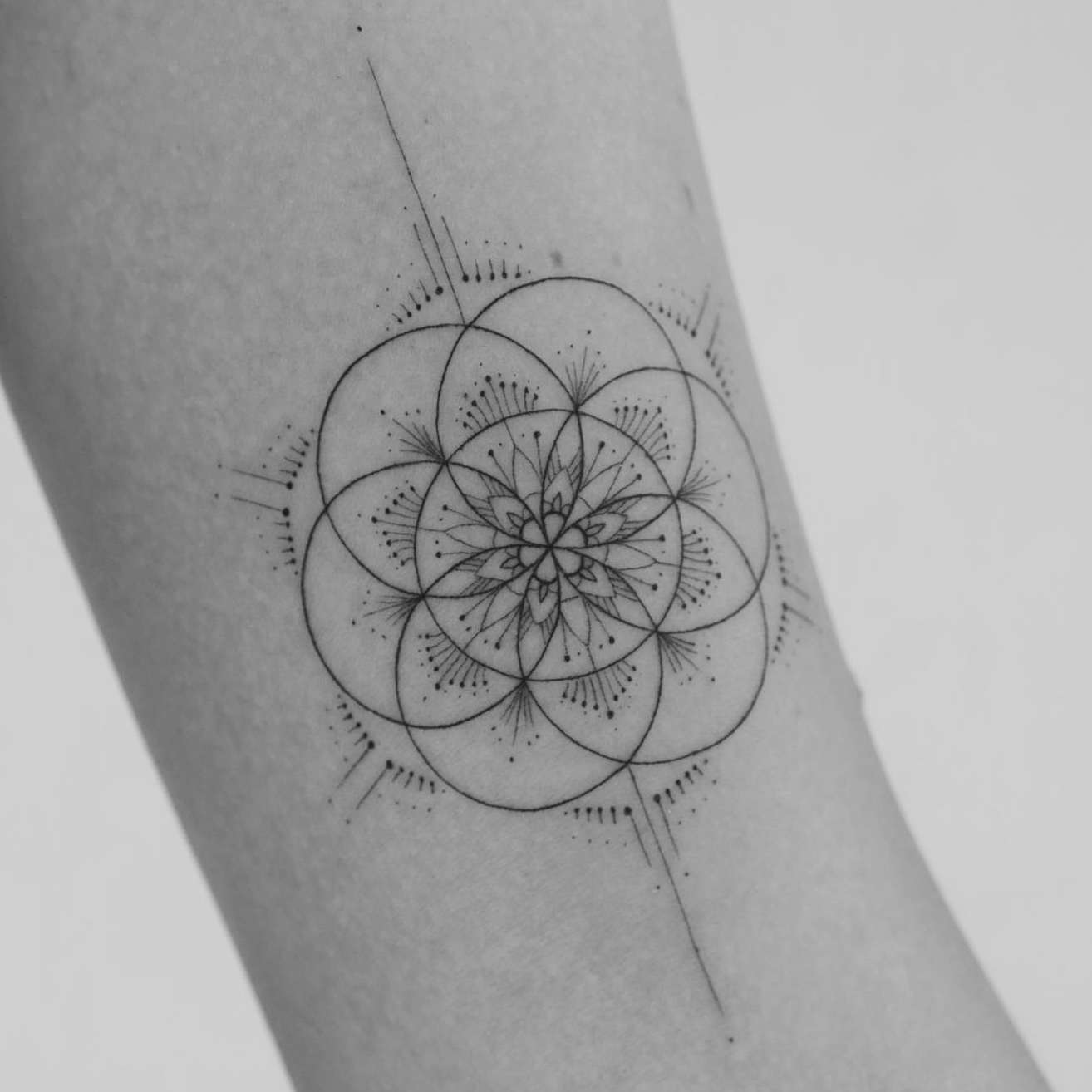 Seed flower of life lotus icon yantra mandala sacred geometry tattoo  symbol of harmony and balance mystical talisman  CanStock