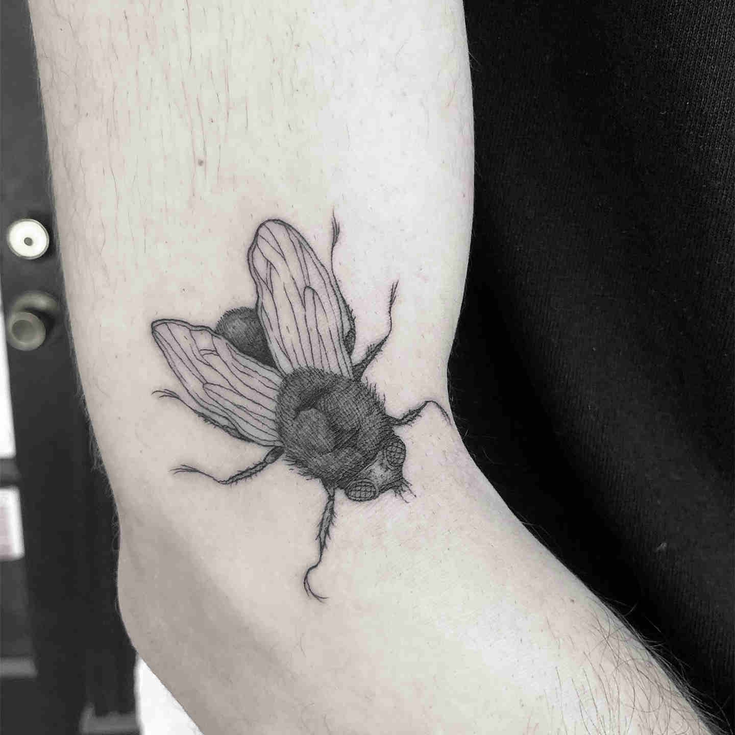 Fly Tattoo Meaning