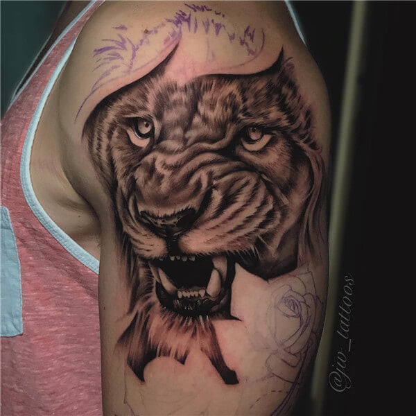 Lion Shoulder Tattoo