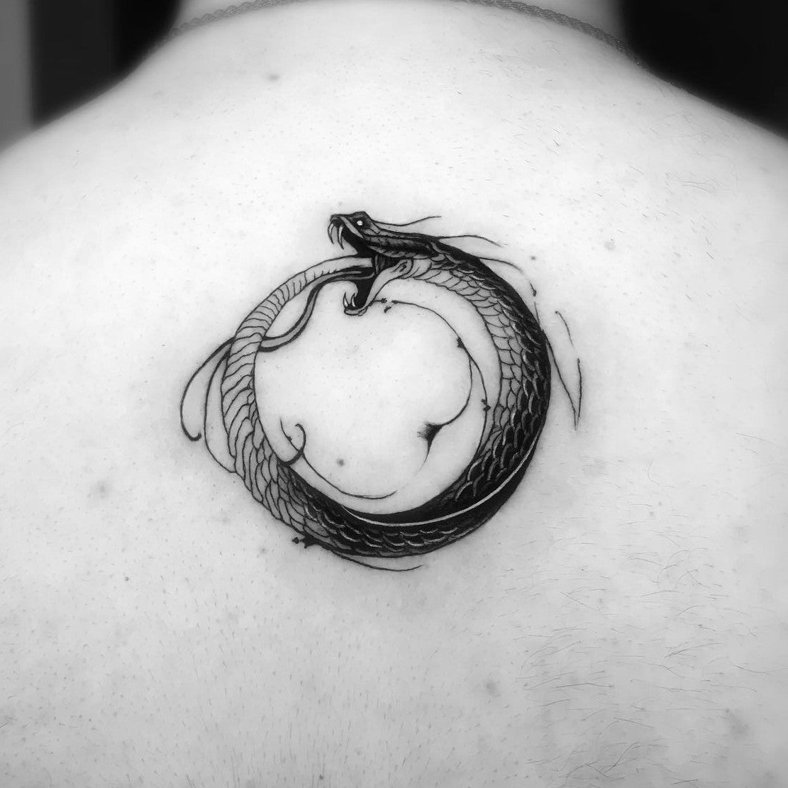 Ouroboros Simple Art Tattoo HD Png Download  Transparent Png Image   PNGitem