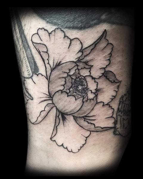 Outline Peony Tattoo