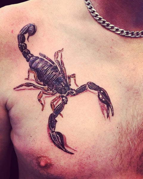 Explore the 2 Best scorpion Tattoo Ideas (June 2018) • Tattoodo