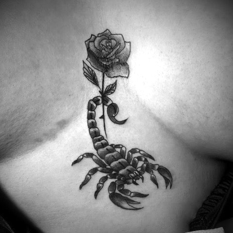 11 Girly Scorpion Tattoo Ideas That Will Blow Your Mind  alexie