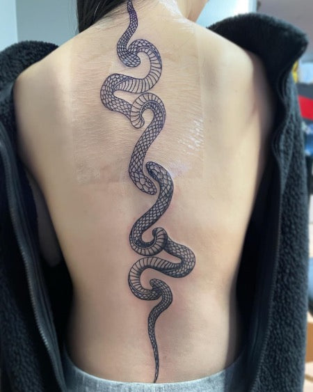 snake tattoos on spineTikTok Search