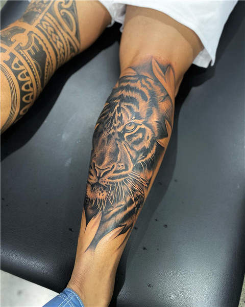 Tiger Calf Tattoo