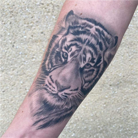 Tiger Portrait Tattoo