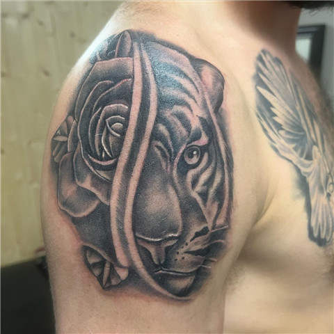 Tiger Rose Tattoo
