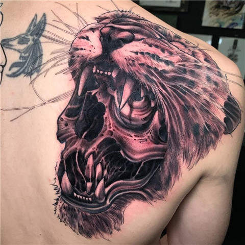 Violent Tattoo Skull in Tiger  Best Tattoo Ideas Gallery