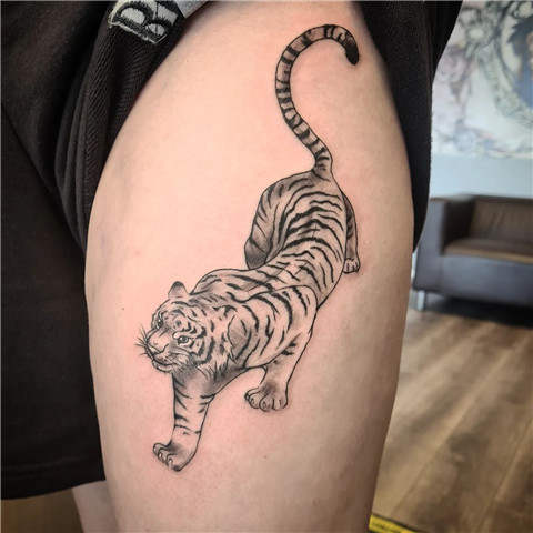 Guy Showing Japanese Tiger Tattoo On Thigh