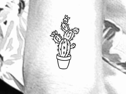 Buy Prickly Pear Cactus Temporary Tattoo Cactus Lover Gift Online in India   Etsy