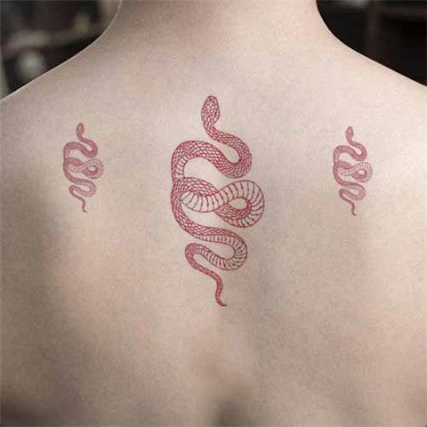 61 Bold  Incredible Snake Tattoo Designs  Psycho Tats
