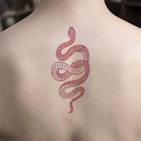 Snake tattoo done by Chris at 717 tattoo Mechanicsburg PA Opinions  r tattoos