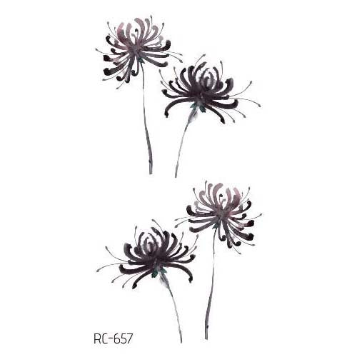 Dijah on Instagram Spider lily color and black and grey