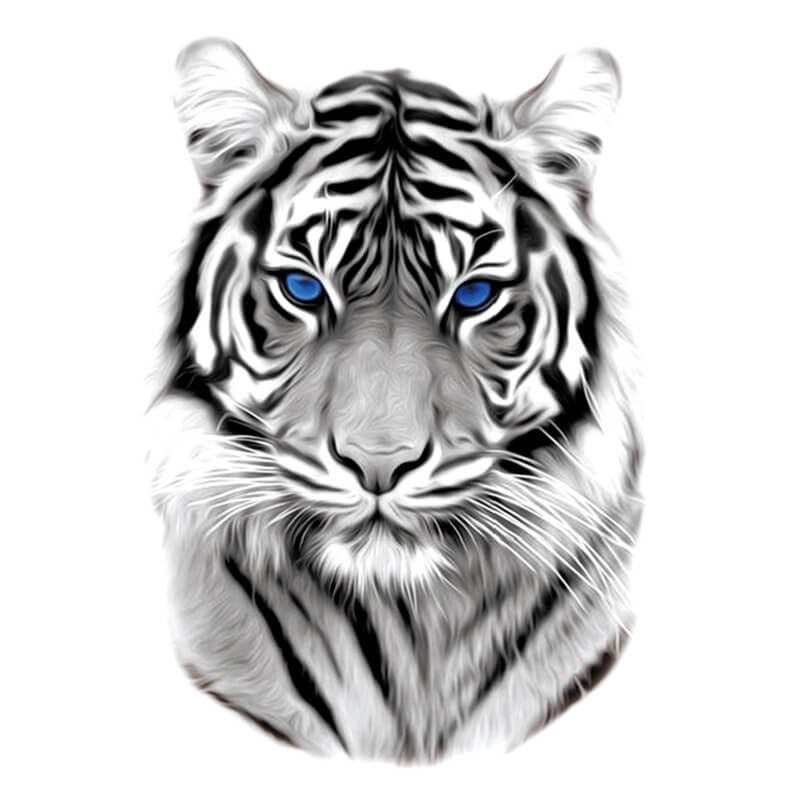 Realistic White Tiger with blue eyes by Haylo TattooNOW