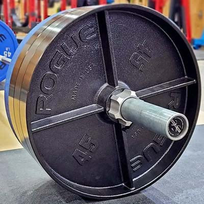 Rogue Fitness Olympic Deep Dish Plates