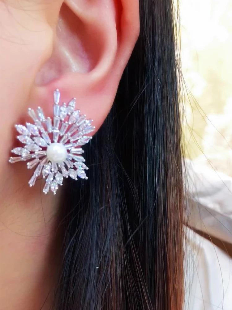 Luxury Trendy Charm Winter Snowflakes Earrings F