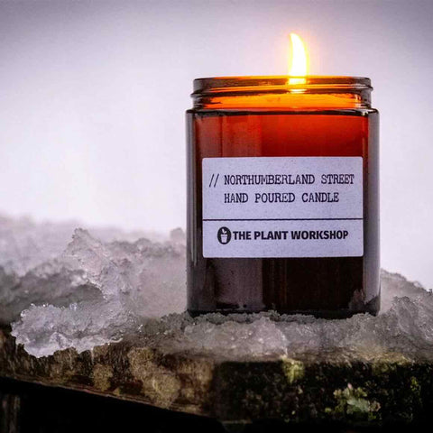 Northumberland Street Candle by The Plant Workshop Made in the Scottish Highlands