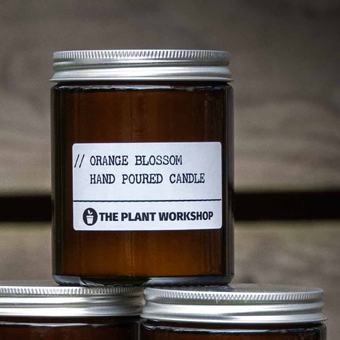 Orange Blossom Candle and Home Fragrance by The Plant Workshop Fenwick Newcastle - made in the Scottish Highlands.