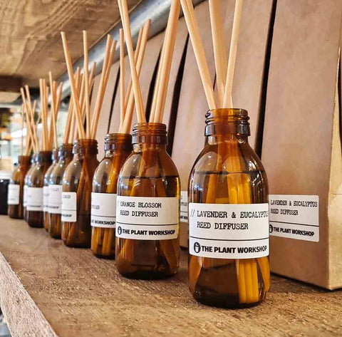 Reed Diffusers by The Plant Workshop Fenwick Newcastle