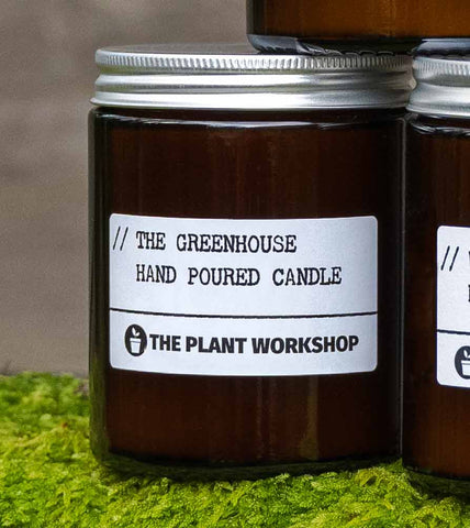 The Greenhouse Candle and Home Fragrance by The Plant Workshop Fenwick Newcastle - made in the Scottish Highlands.