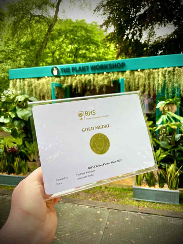 The Plant Workshop Gold Medal at The Chelsea Flower Show