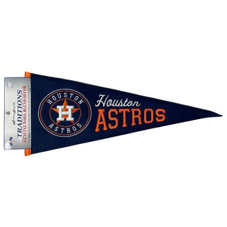 MLB Houston Astros Logo 2.5 x 3.5 Fridge Magnet 