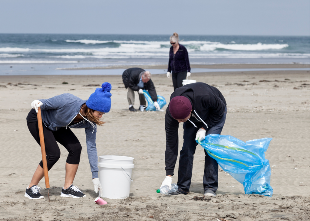 Beach cleanup with volunteers