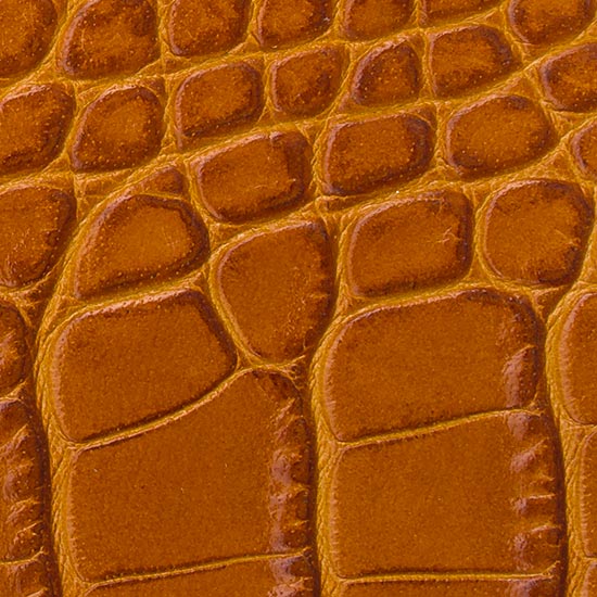 crocodile tan