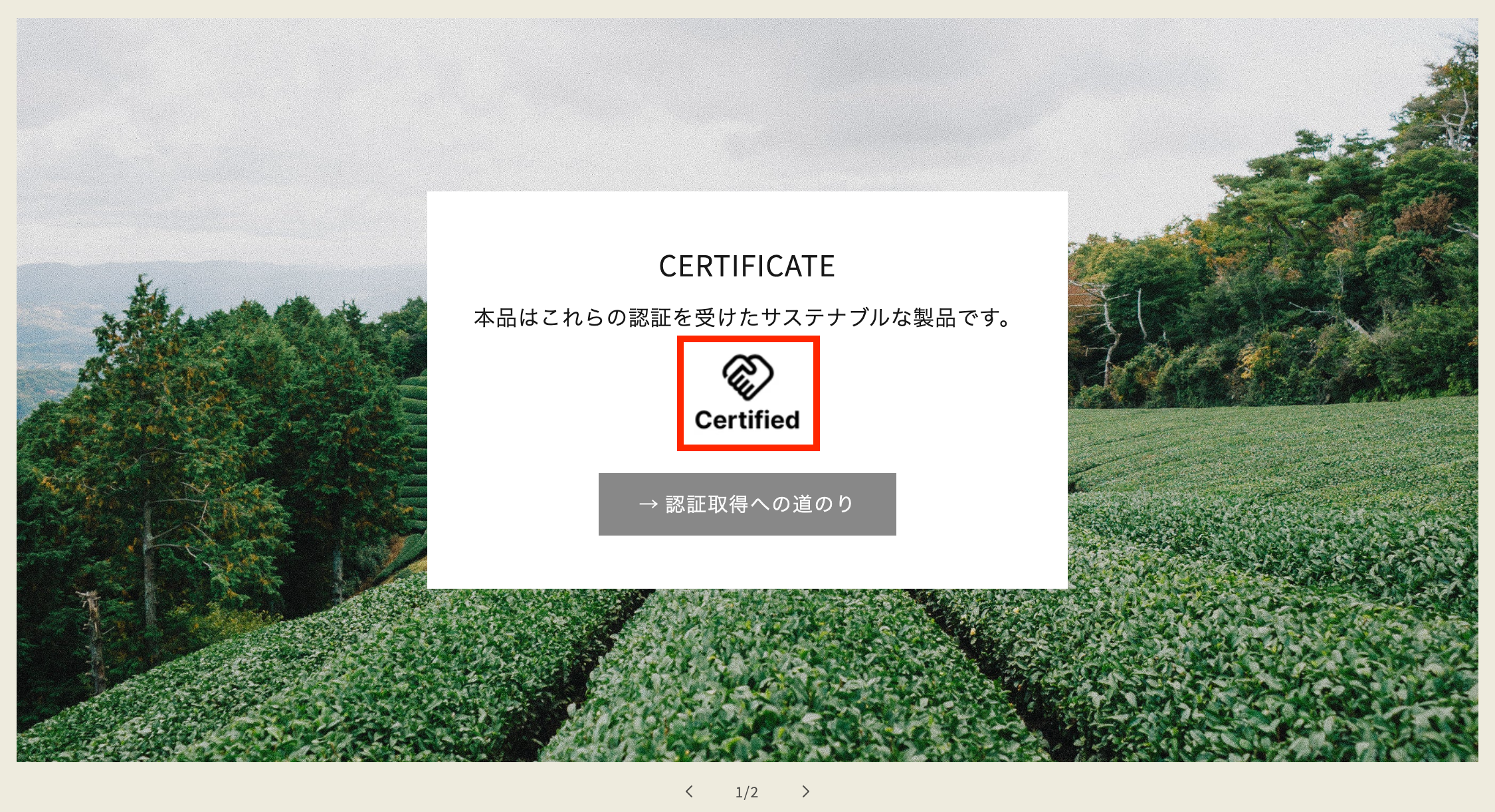 ストアフロント（「certificate」スライドショー）