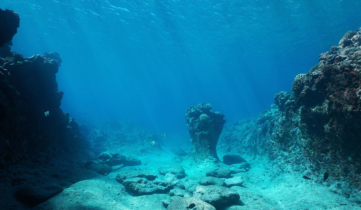 深邃的海底 蘊藏寶藏 天然晶石 海洋能量