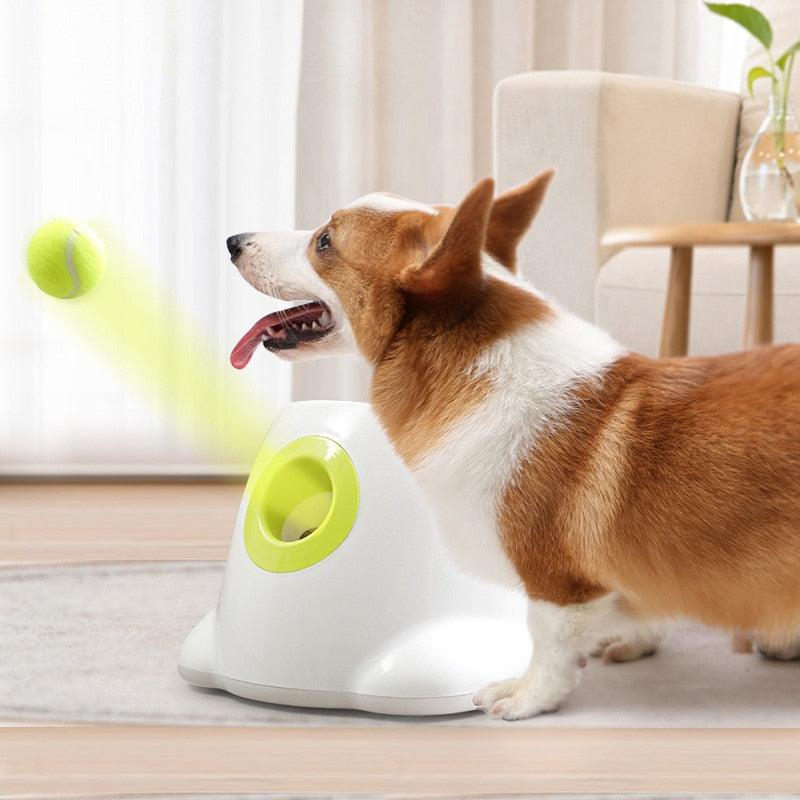 Voovpet Automatic Pet Feeder, Interactive Dog Toys, Dog Food Dispenser  Interactive Button Trigger Dog Treat Dispensing Toys Slow Feeder Fun  Feeding. - China Automatic Cat Feeder and Slow Feeder Dog Bowl price