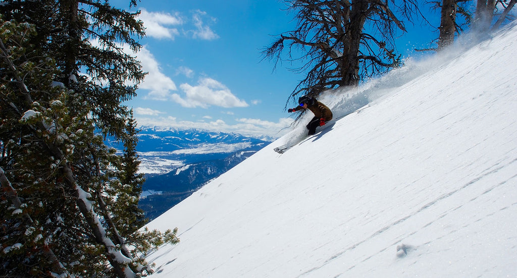 ski-freeride