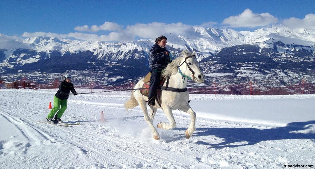 skijoring