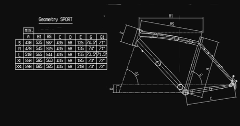 Bianchi C-Sport - Geometry