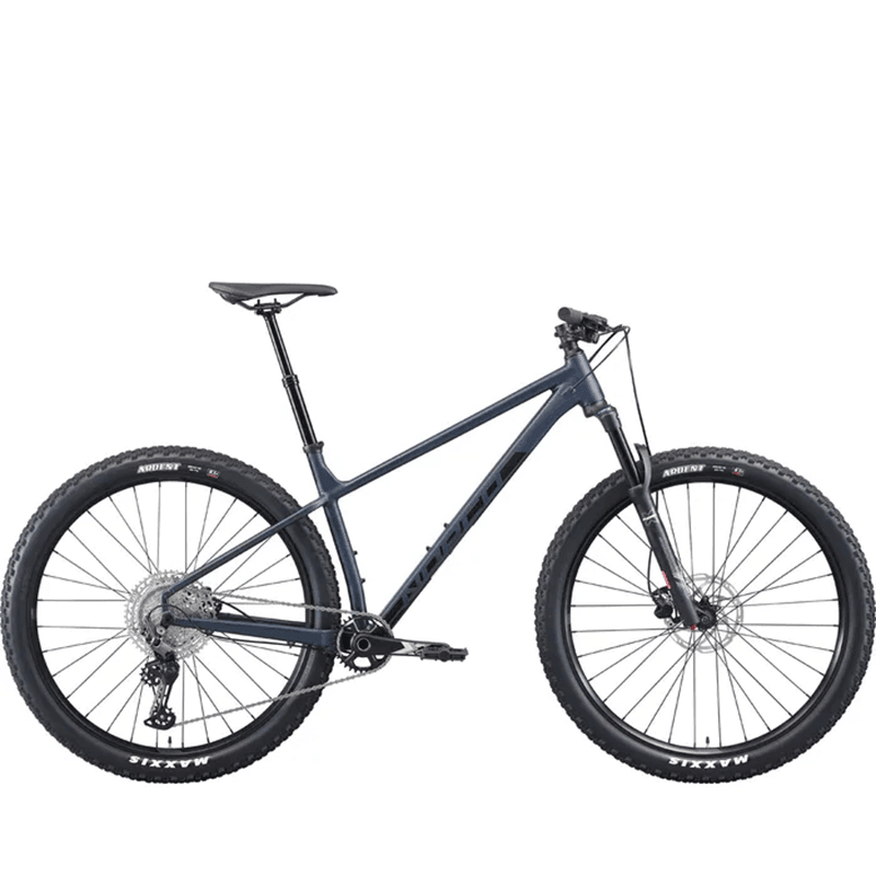 blue and black mtb