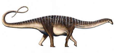 Amazonsaurus maranhensis