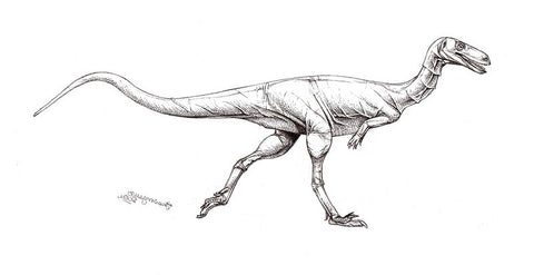 Vespersaurus paranaensis