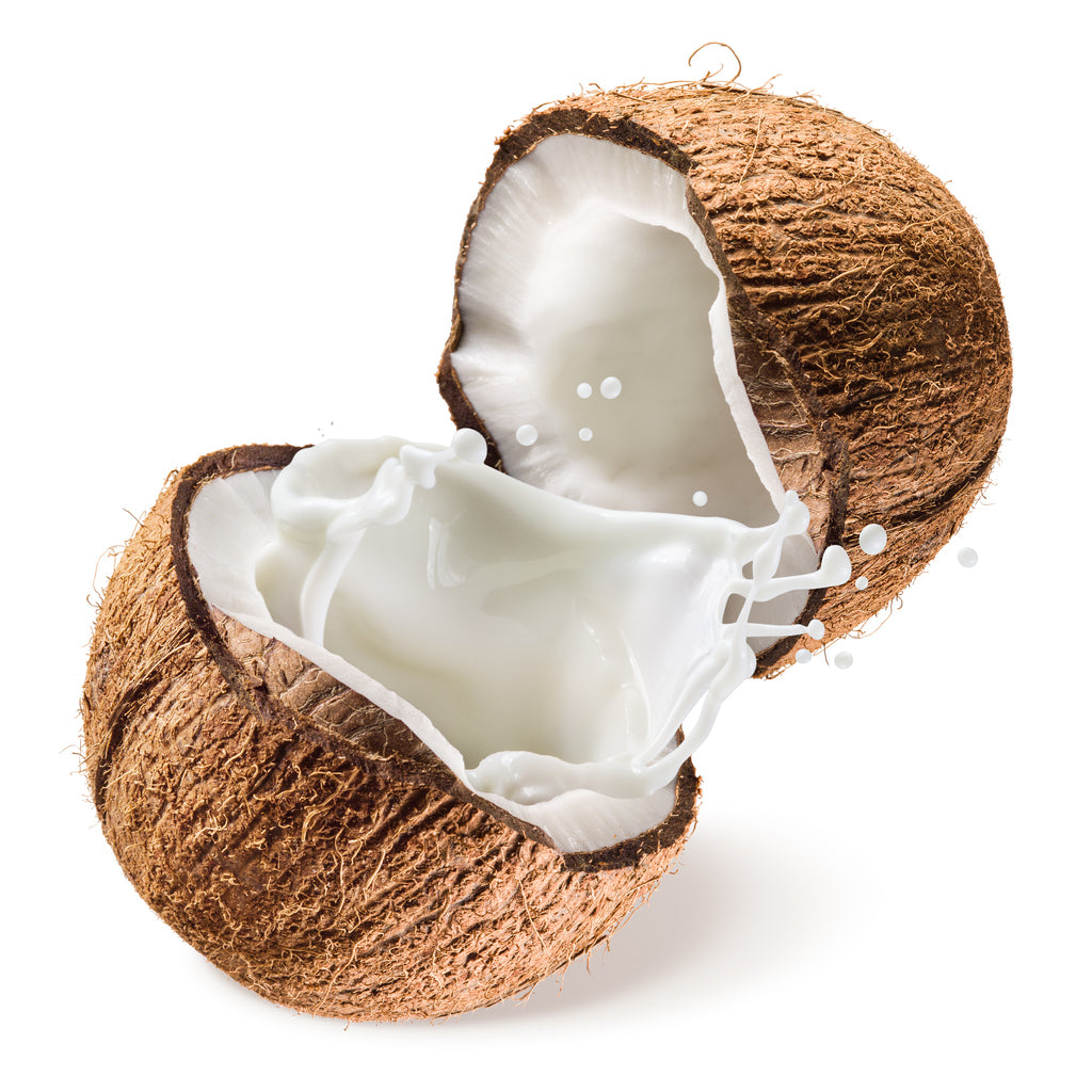 Coconut Milk