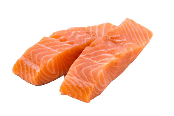 Salmon 
