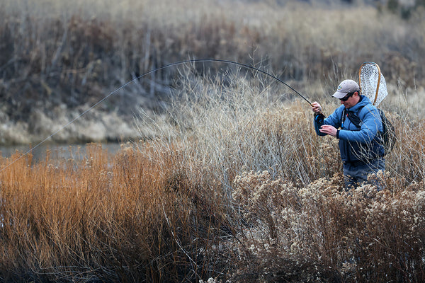 Fly fishing Washington's desert spring creeks.