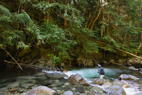 Gorgeous small mountain stream in the Cascades outside Seattle, WA.