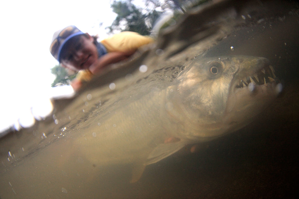 Nicholas' Review of the 12 wt Winston B3 Plus Saltwater fly rod