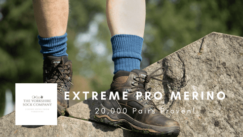 extreme pro merino walking socks