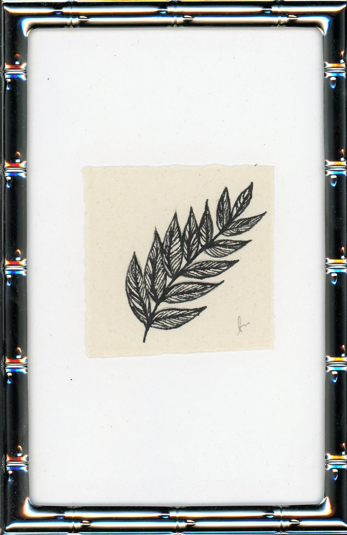 Fern IIII