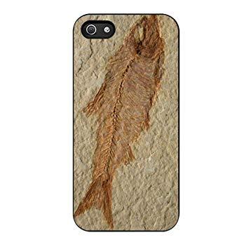 coque iphone 5 fossil