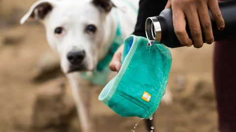 Ruffwear Swamp Cooler Neck Gaitor