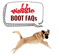 Waggle Boots FAQs