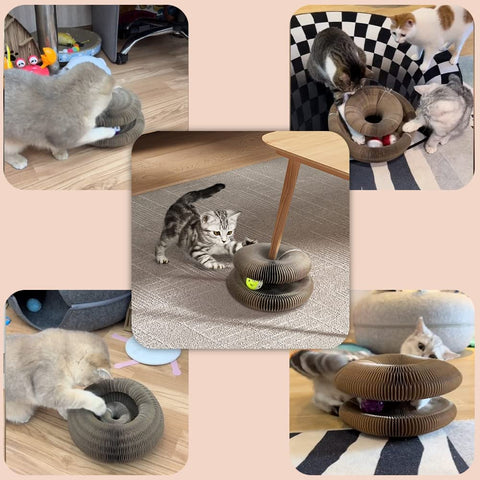 Interaktives Spielzeug für Katzen I Cat Joy +1 Geschenkball